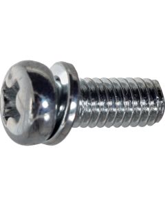 Pan Head Screw with Washer  ใบละ 1,000 เส้น