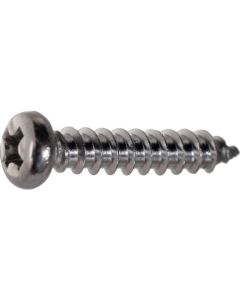 Pan Head Tapping Screw  ใบละ 750 เส้น