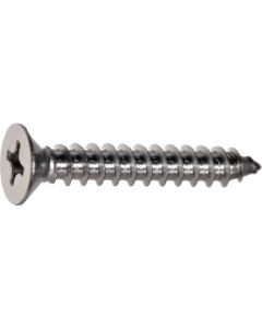 Stainless Steel Flat Head Tapping Screw  ใบละ 270 เส้น
