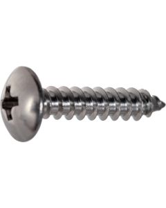 Stainless Steel Mushroom Head Tapping Screw  ใบละ 80 เส้น