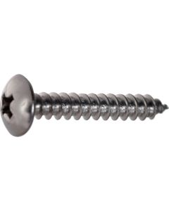 Stainless Steel Mushroom Head Tapping Screw  ใบละ 480 เส้น