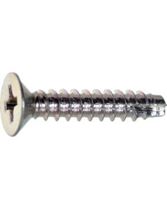 Flat Head Tapping Screw  ใบละ 1,100 เส้น