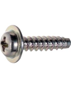 Pan Head Tapping Screw  ใบละ 810 เส้น
