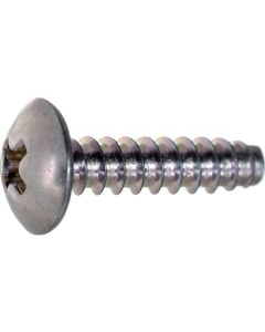 Mushroom Head Tapping Screw  ใบละ 450 เส้น