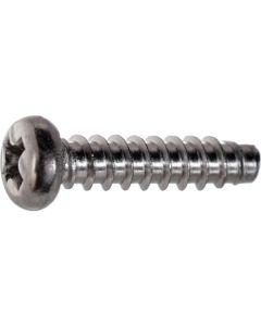 Stainless Steel Pan Head Tapping Screw  ใบละ 540 เส้น