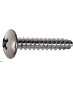 Stainless Steel Mushroom Head Tapping Screw  ใบละ 210 เส้น