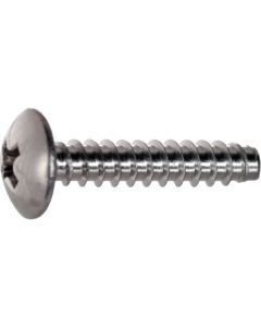 Stainless Steel Mushroom Head Tapping Screw  ใบละ 620 เส้น