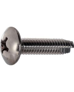 Mushroom Head Tapping Screw  ใบละ 540 เส้น