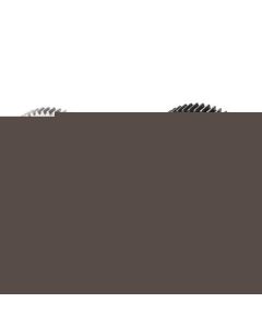Spur Gear