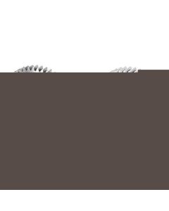 Spur Gear