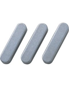 Parallel Key (S50C)