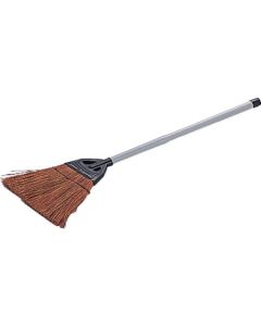 Palm Broom