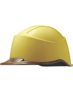 Helmet 1อัน