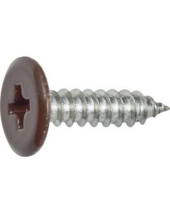 Colored Low Head Tapping Screw Brown
