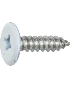 Colored Low Head Tapping Screw White