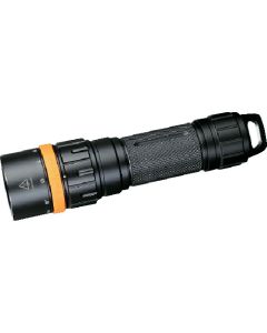 LED Light