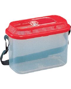 Insect Case 1อัน