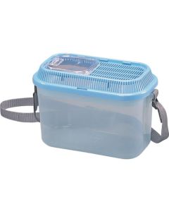 Insect Case 1อัน