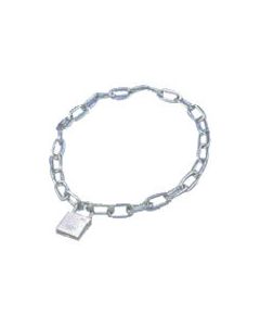 Stainless Steel Padlock w/chian 1อัน
