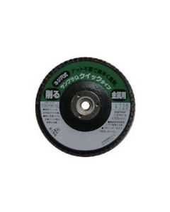 Sanpla Disk 10แผ่น