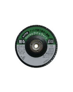 Sanpla Disk 10แผ่น