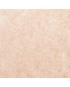 SE568 1อัน