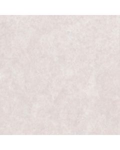 SE570 1อัน