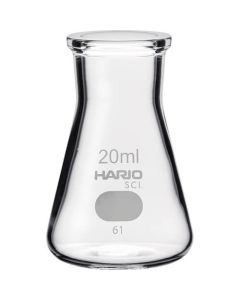 Erlenmeyer Flask with Measurements