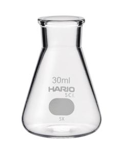 Erlenmeyer Flask with Measurements