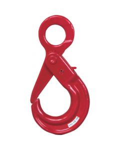 Safety Hook c/w Safety Lock 1อัน