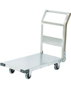 Stainless Steel Platform Truck