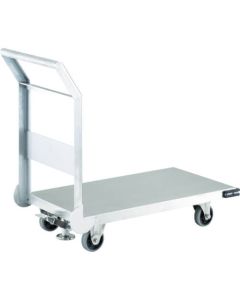 Stainless Steel Platform Truck