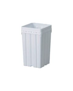 San Pail 1อัน
