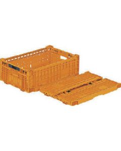 Foldable Container 1อัน