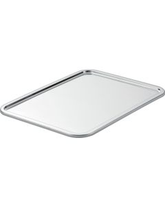 Stainless Steel Tray