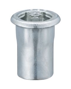 Blind Nut Hex Type