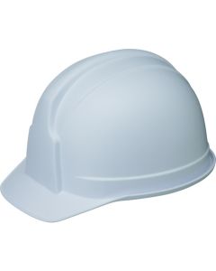 SS-100MW-JPW