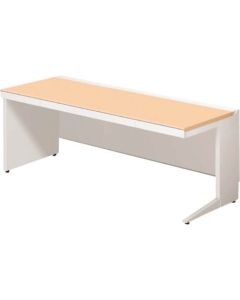 ST-F117H-LP WS/W4 1อัน