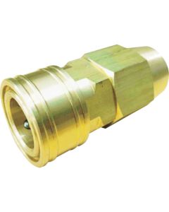 STY MODEL SOCKET อันละ 1 อัน