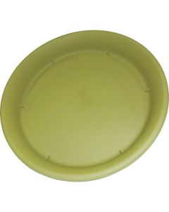 Saucer-Style Biscuit 1อัน