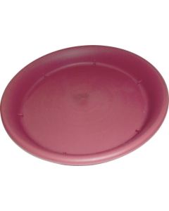 Saucer-Style Biscuit 1อัน