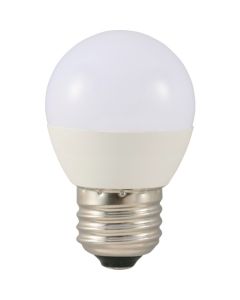 LED Bulb  อันละ 1 อัน
