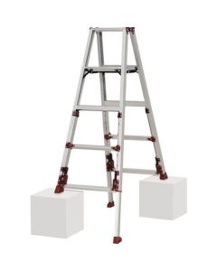 Stepladder 1อัน