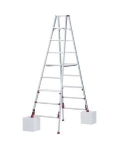 Stepladder