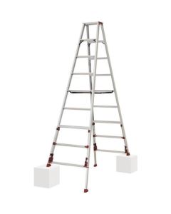 Stepladder 1อัน