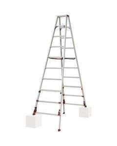 Stepladder 1อัน