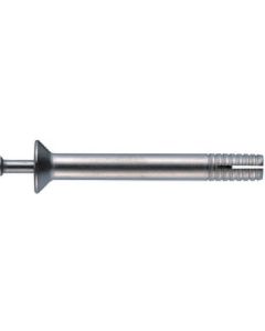 All Anchor SY type(Stainless Steel) 30เส้น