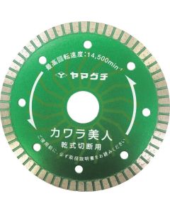 Sintered Cutter KAWARA-BIJIN