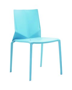 Meeting Chair