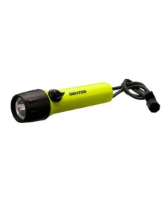 25m Waterproof Diving Light
